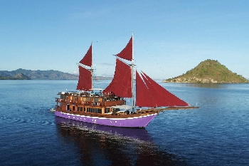 Neomi Boat