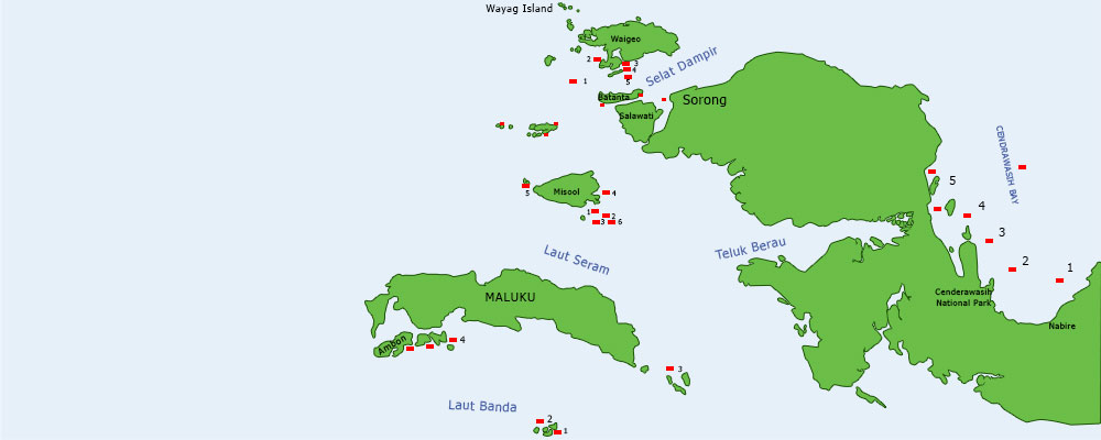 Raja Ampat Map Cruise and Diving